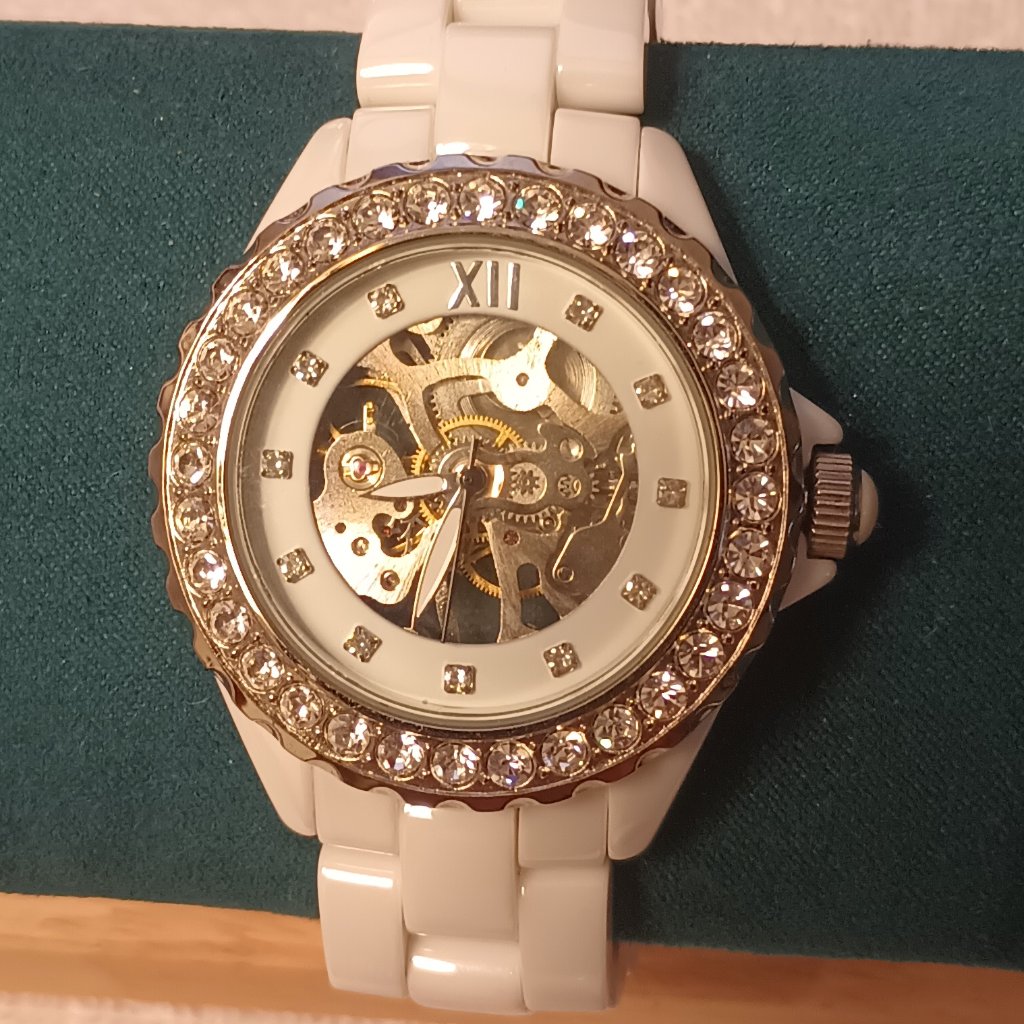 Adrienne Vittadini Ceramic Skeleton Watch 63$